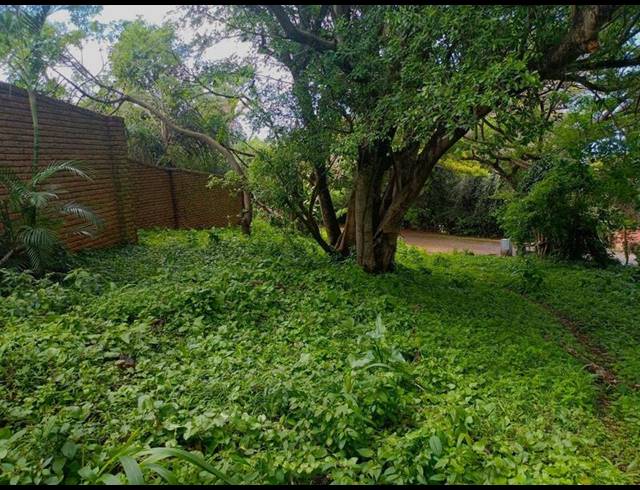 LAND FOR SALE IN MTUNZINI